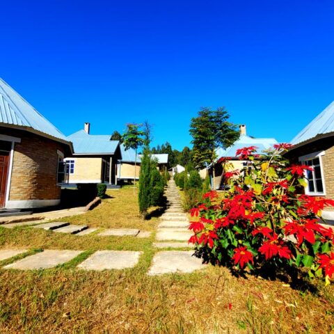 Our Hotels